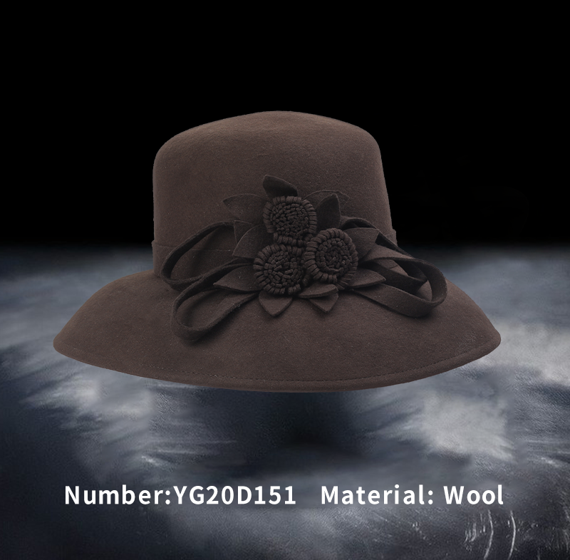 Wool hat(YG20D151)