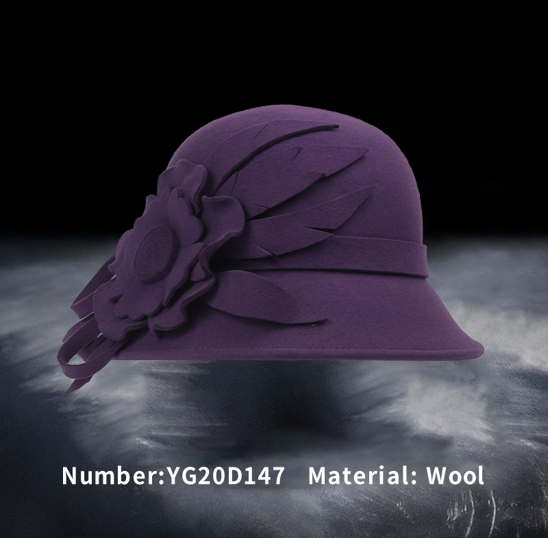 Wool hat(YG20D147)