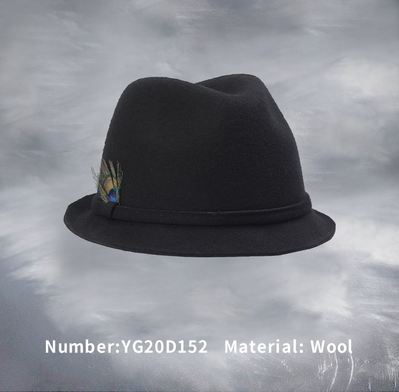 Wool hat(YG20D152)