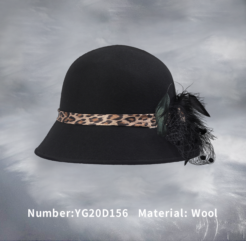 Wool hat(YG20D156)